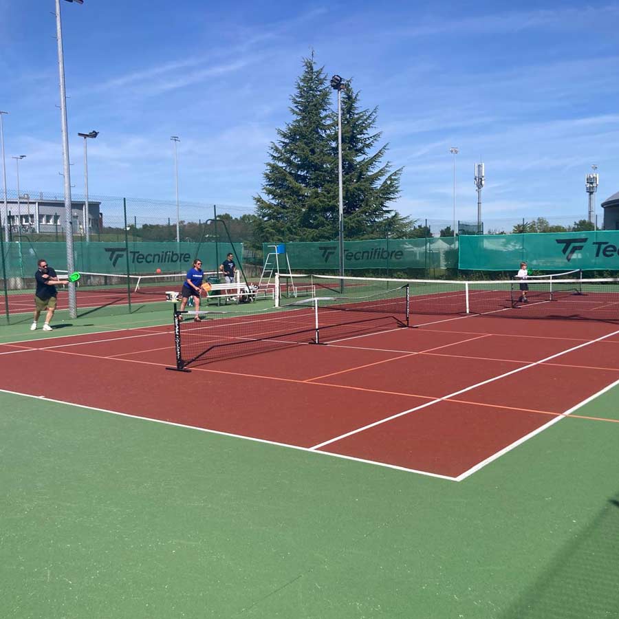 animation pickleball