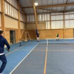 animation pickleball