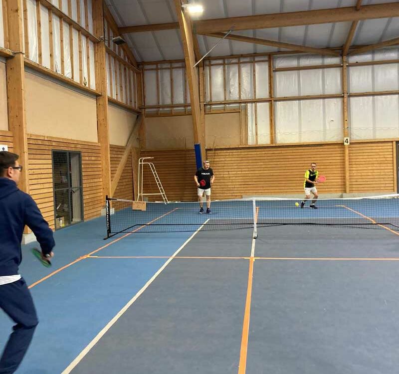 animation pickleball